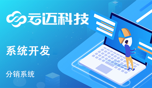 企業(yè)開發(fā)分銷系統(tǒng)有哪些運營優(yōu)勢？